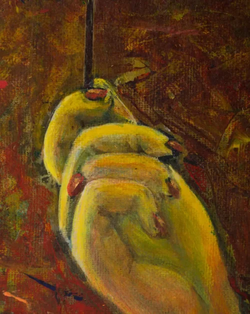 Prisijaukinusi svajonę